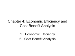 Chapter Four: Economic Efficiency and Cost Benefit Analysis