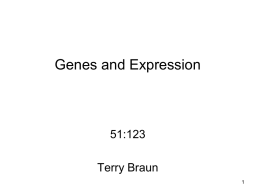 Wrap up Genes and Expression