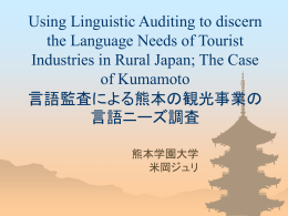 Using Linguistic Auditing to discern the Language Needs of