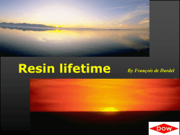 Resin Lifetime