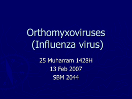 Orthomyxoviruses (Influenza virus)