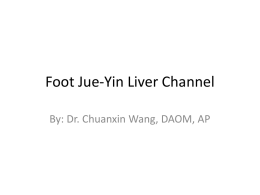 Foot Jue-Yin Liver Channel - Massage School Acupuncture