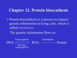 Chapter 12. Protein biosynthesis (P215, sP875)