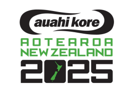 Smokefree Aotearoa 2025 Next Steps Action Plan 2013 -2015