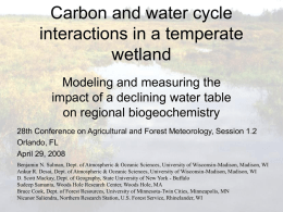 Carbon and water cycle interactions in a temperate wetland