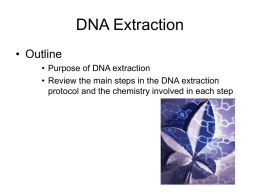 DNA Extraction - Rice Genome Annotation Project
