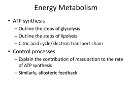 Energy Metabolism - Georgia Institute of Technology