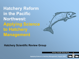 Hatchery Reform Project