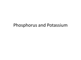 Phosphorus and Potassium - Soil 4213 Precision Agriculture