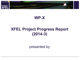 WP-X XFEL Project Progress Report (2