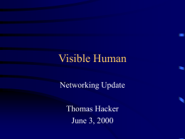 Visible Human User Interface Team
