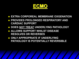 Conventional ventilation or ECMO for Severe ARDS