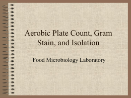 Aerobic Plate Count, Gram Stain, and Isolation