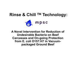 Rinse & Chill Technology: Novel Intervention for Reduction