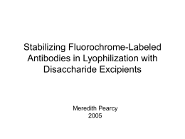 Stabilizing Fluorochrome-Labeled Antibodies in