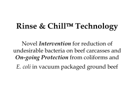 Rinse & Chill Technology: Novel Intervention for Reduction