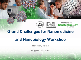 NCI Alliance for Nanotechnology in Cancer: Research