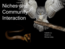 Niches and Community Interaction