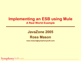 Implementing an ESB using Mule A Real World Example