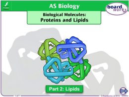 Biological Molecules: Proteins and Lipids