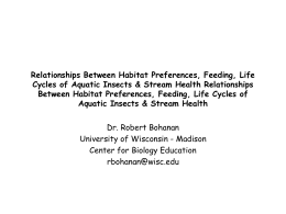 Relationships Between Habitat Preferences, Feeding, Life