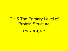 CH 5 The Primary Level of Protein Structure