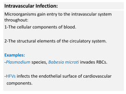 Intravascular Infection:
