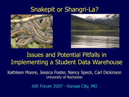 Snakepit or Shangri-La? Issues and Potential Pitfalls in