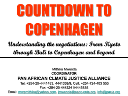 COUNTDOWN TO COPENHAGEN Understanding the negotiations