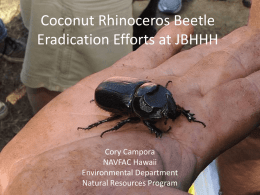 Coconut Rhinoceros Beetle Eradication Efforts at JBHHH