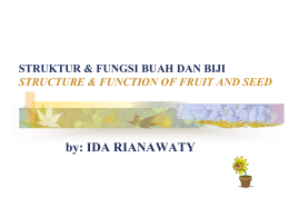 Plant Structure and Function