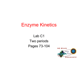 PPT Enzyme Kinetics (2006) – NC State Biochemistry