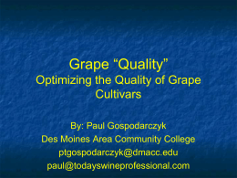 Wine Service - Wisconsin Grape Growers Association