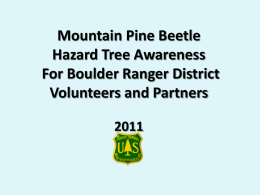 Mountain Pine Beetle Hazard Tree Awareness IPWA Volunteers