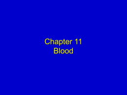 Chapter 11 Blood - Professor Black