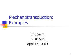 Mechanotransduction: Examples - University of Illinois at