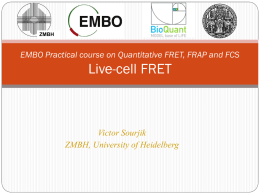 EMBO Practical course on Quantitative FRET, FRAP and FCS