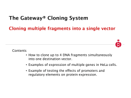 Cloning multiple fragments into a single destination vector