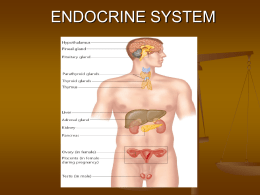ENDOCRINE SYSTEM - Nursing Courses