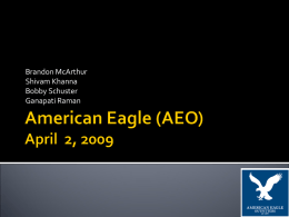 American Eagle - UIUC College of Business
