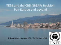 TEEB and the CBD NBSAPs Revision – Pan