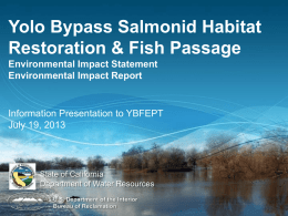 Yolo Bypass Salmonid Habitat Restoration and Fish Passage