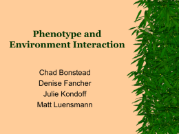 PowerPoint Presentation - Phenotype and Environment
