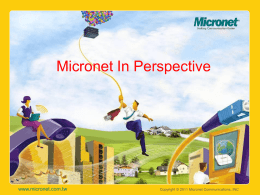 Micronet In Perspective