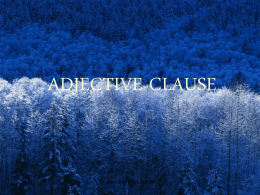 ADJECTIVE CLAUSE