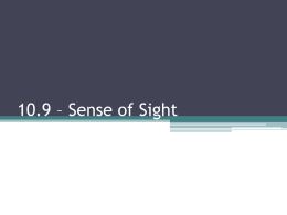 10.9 – Sense of Sight