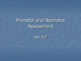 Prenatal and Neonatal Assessment