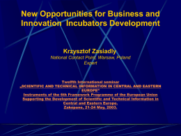 New Opportunities for Business Innovation Incubation