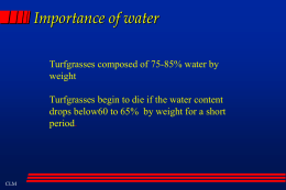 Turfgrass Irrigation