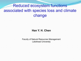 Forest successional dynamics in the eastern